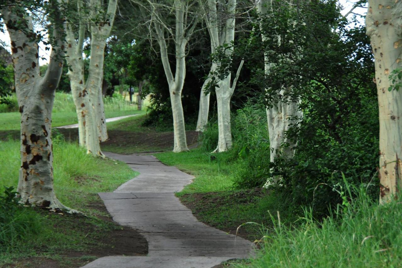האזיביו Kruger Park Lodge Unit No. 610B מראה חיצוני תמונה