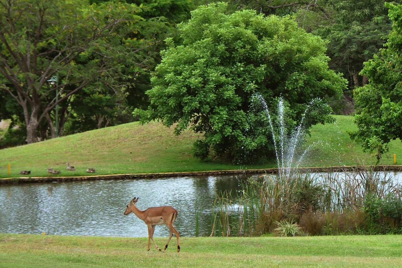 האזיביו Kruger Park Lodge Unit No. 610B מראה חיצוני תמונה
